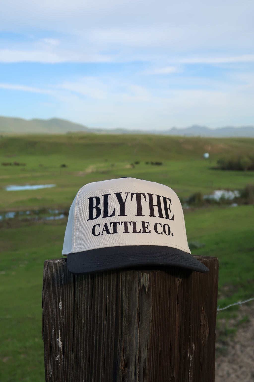 Black Natural Trucker Hat