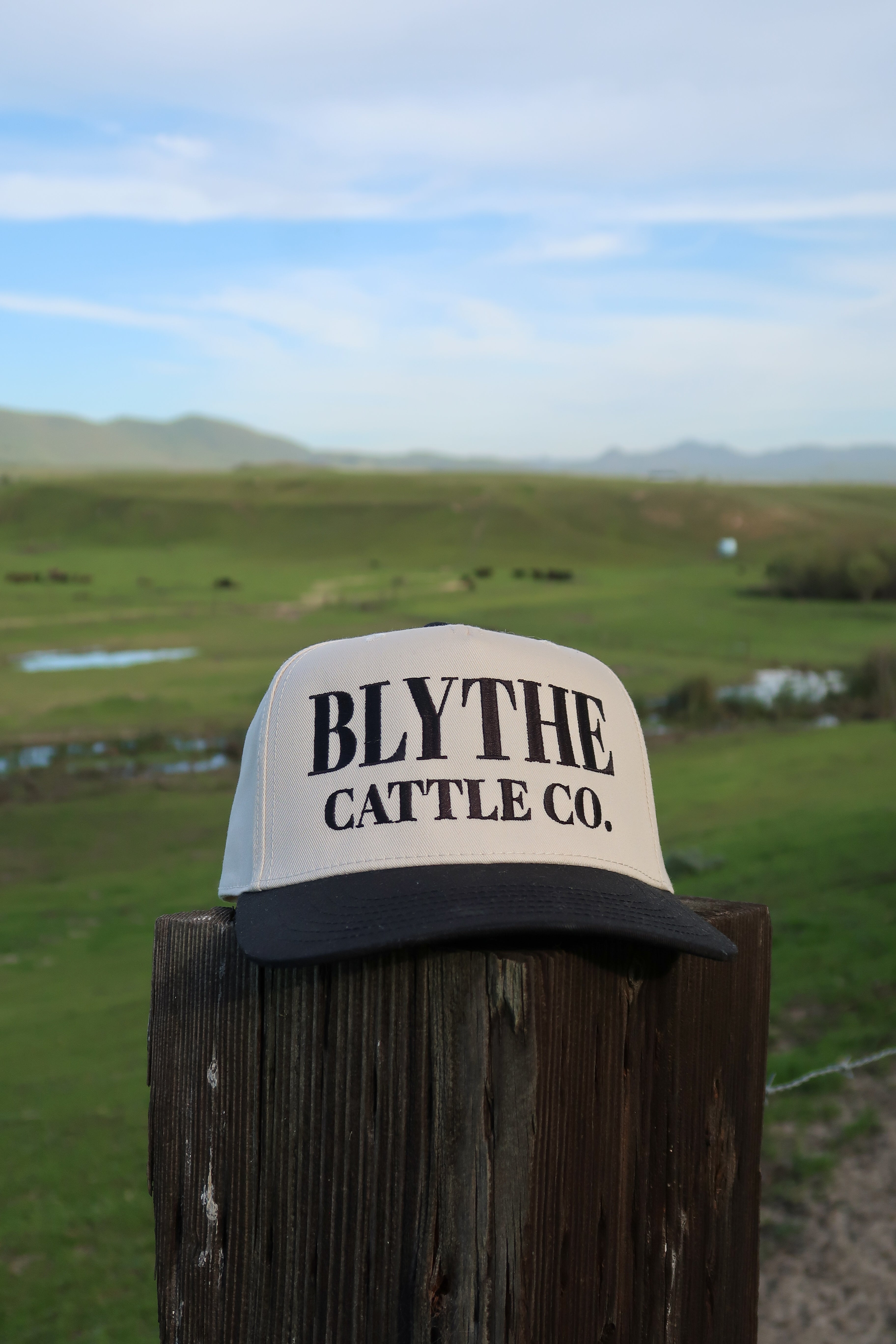 Black Natural Trucker Hat