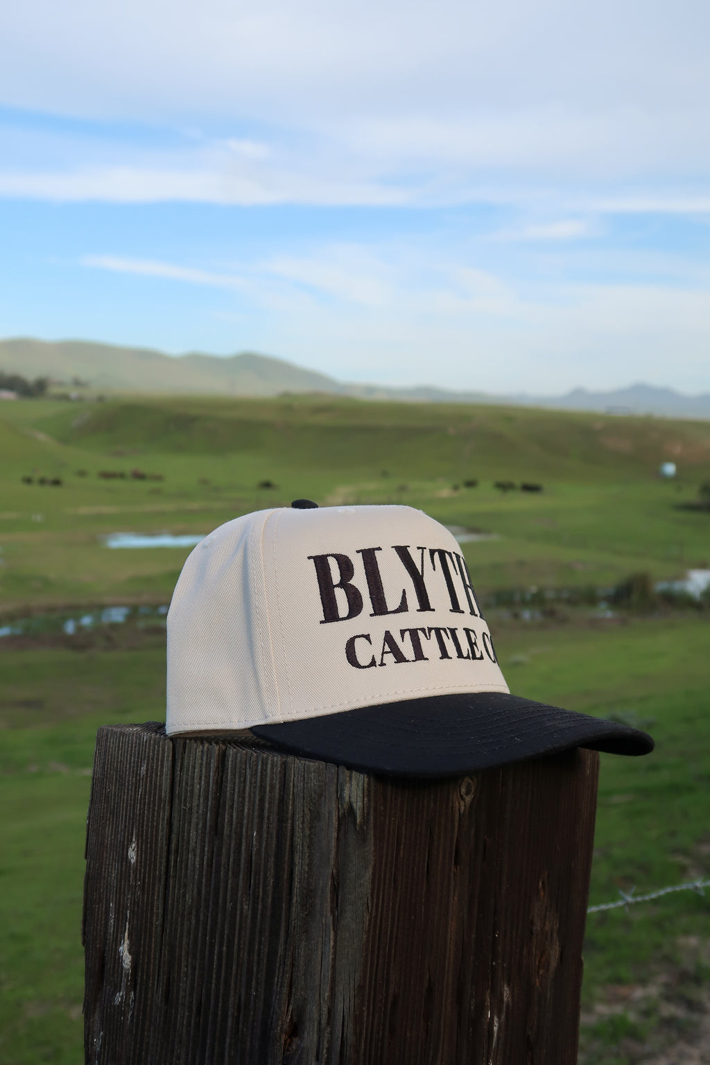 Black Natural Trucker Hat