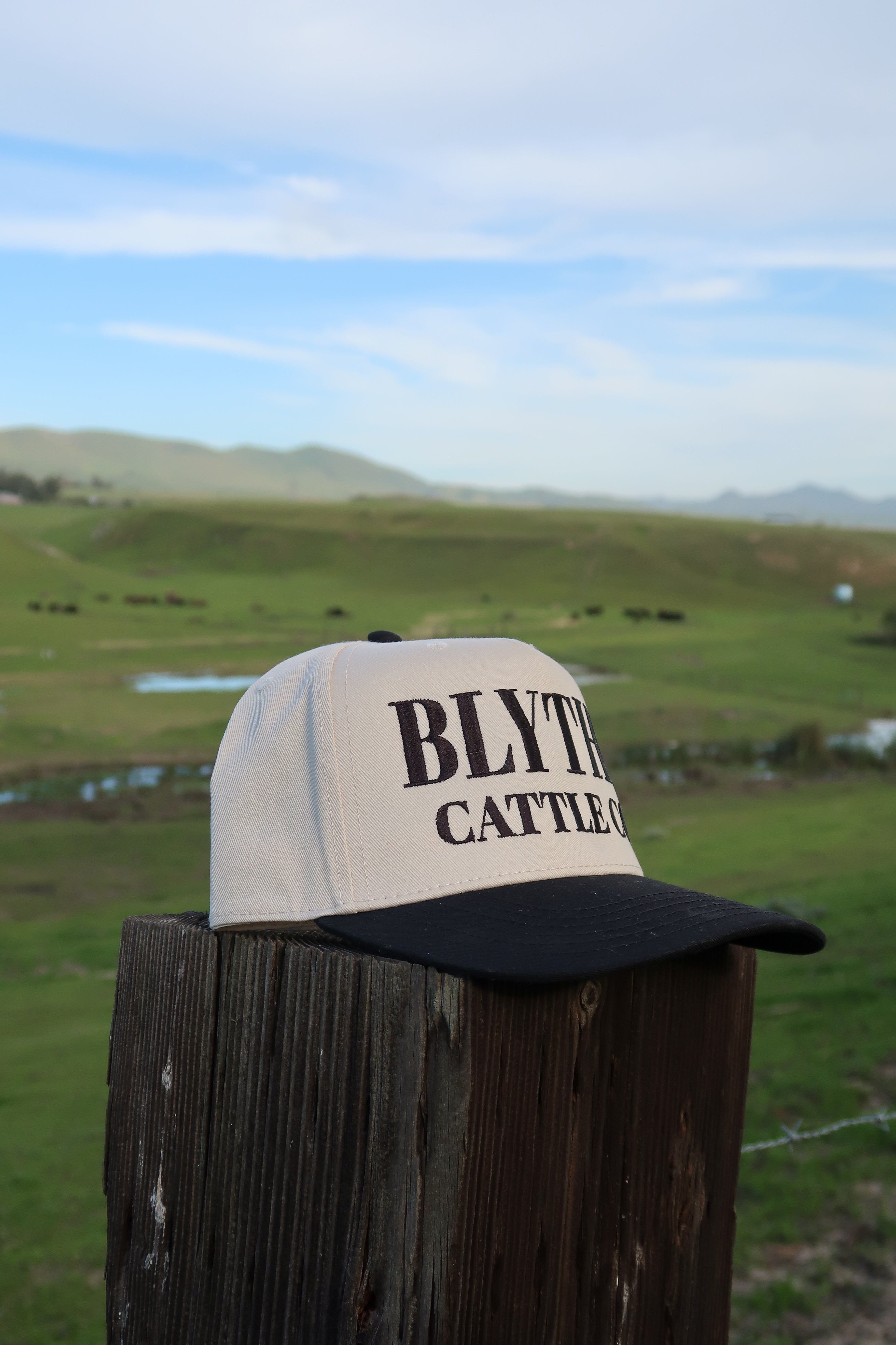 Black Natural Trucker Hat