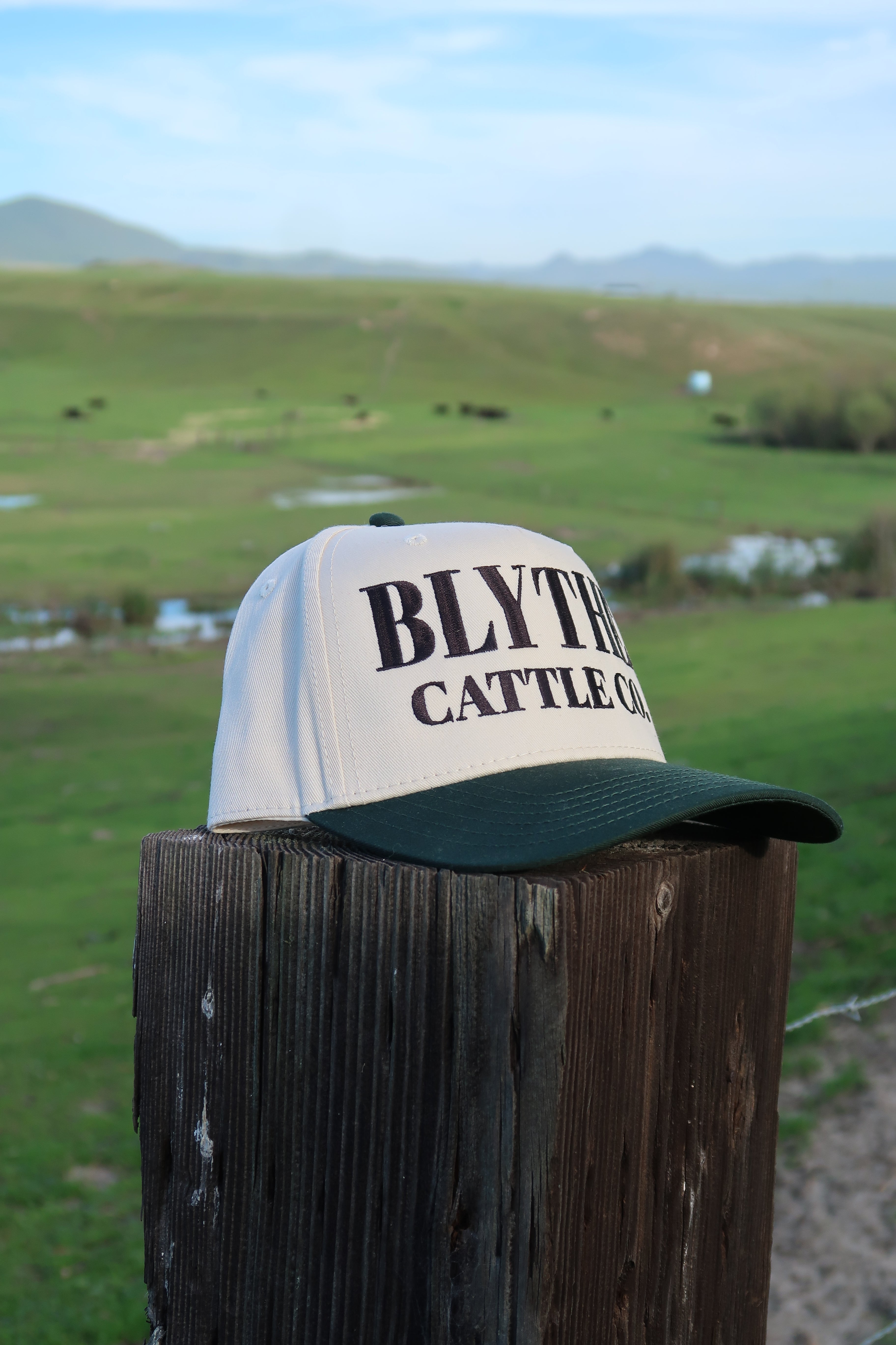 Green Natural Trucker Hat