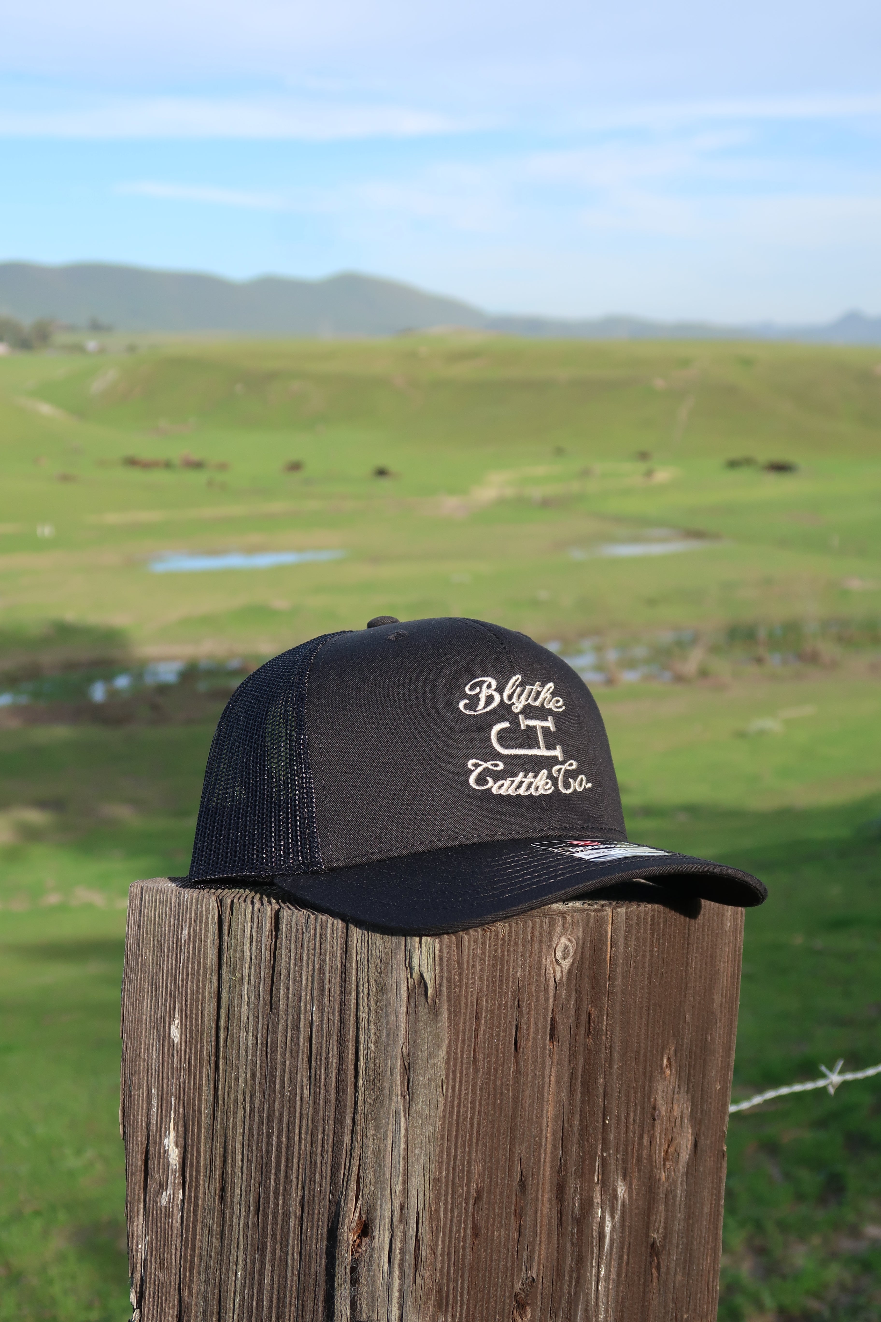 Black Blythe Cattle Co. Hat