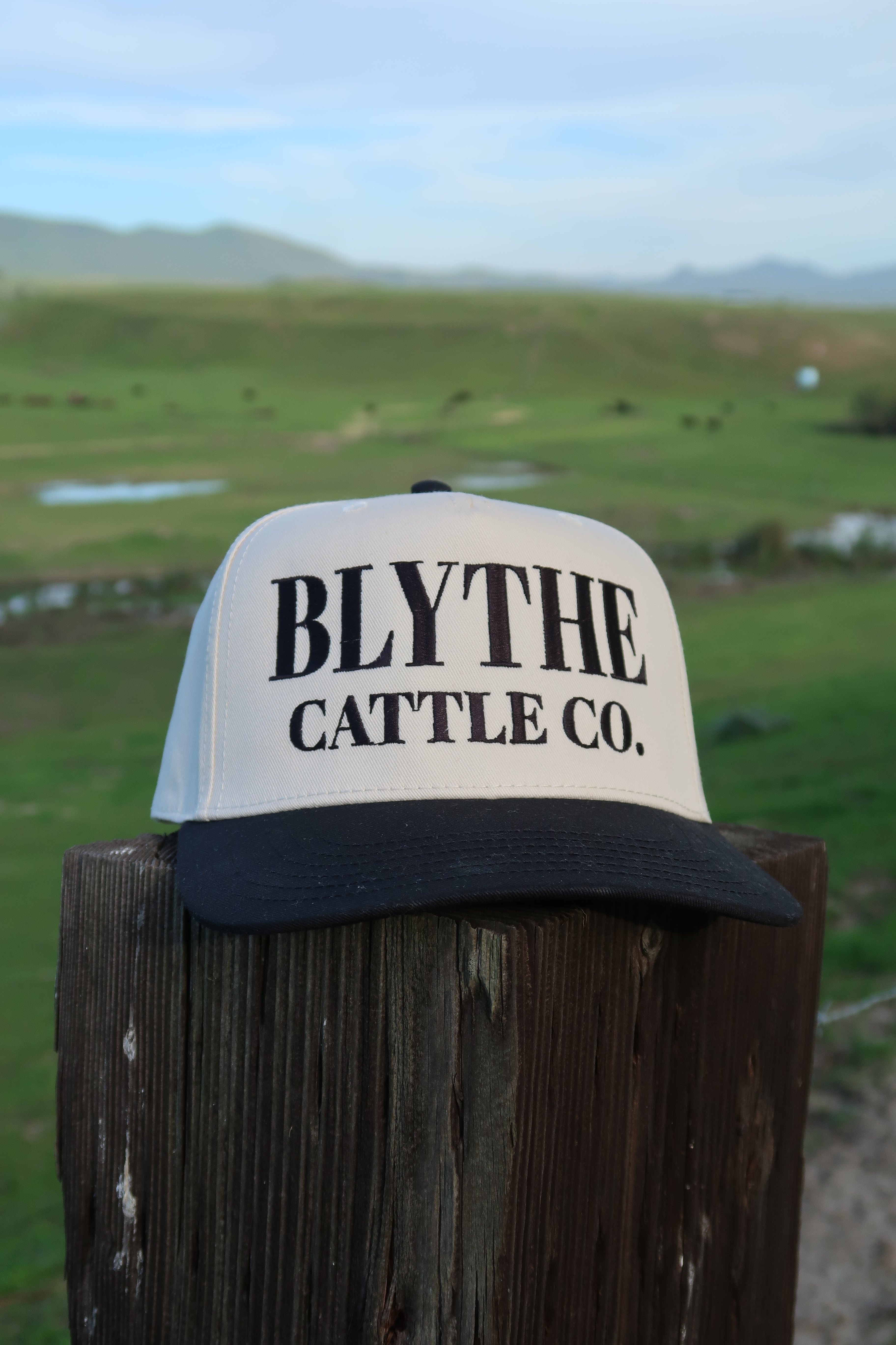 Black Natural Trucker Hat